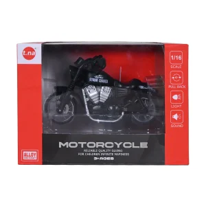 motorcycle strom chaser