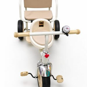 rally tricycle with double seat